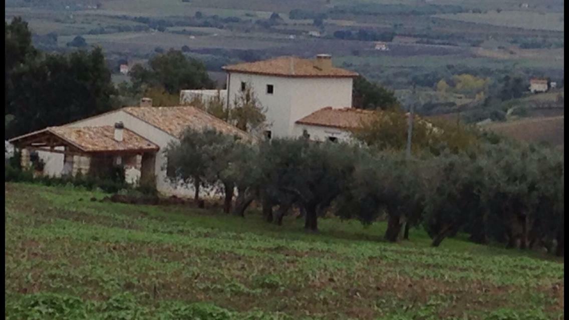 Villa Angiolina, Molise Guglionesi Bagian luar foto
