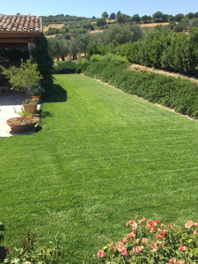 Villa Angiolina, Molise Guglionesi Bagian luar foto